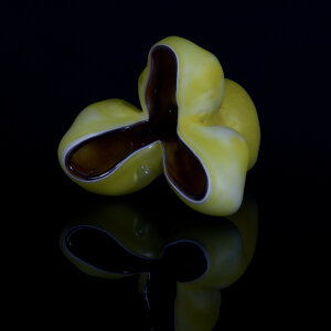 Furnace Blown Glass<br>8 x 8 x 8&rdquo;<br>2023