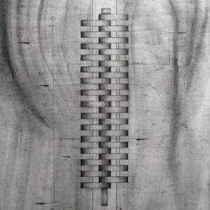 Graphite on Bristol Board</br>22 x 18&rdquo;</br>2010