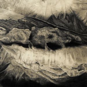Graphite on Bristol Board</br>15 x 9.5&rdquo;</br>2009