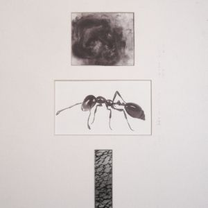 Graphite on Bristol Board</br>28 x 18&rdquo;</br>2008