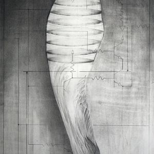 Graphite on Bristol Board</br>8 x 12&rdquo;</br>2012