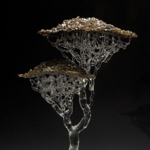 Torchworked, Fused, and Cast Glass</br>2014